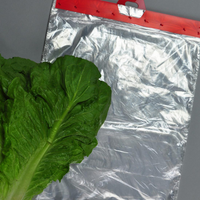 12" x 17" + 2"LP 0.55 Mil Linear LDPE Produce Bag, 2000/CS